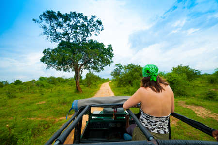 Young woman in a safari jeep in Sri Lankaの写真素材