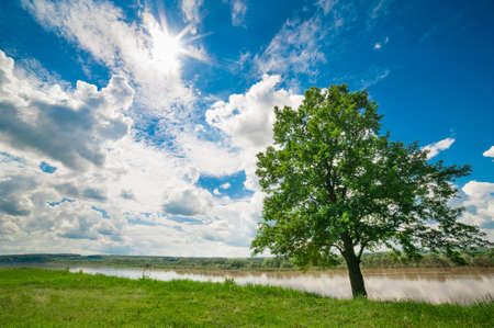 River landscape with tree, cloudy sky and sunshineの写真素材