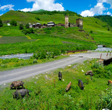 Country landscape in Davberi, Samegrelo-Zemo Svaneti, Georgiaの写真素材
