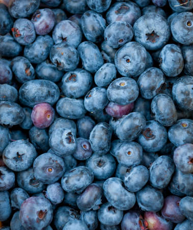 Fresh blueberry on the marketの写真素材