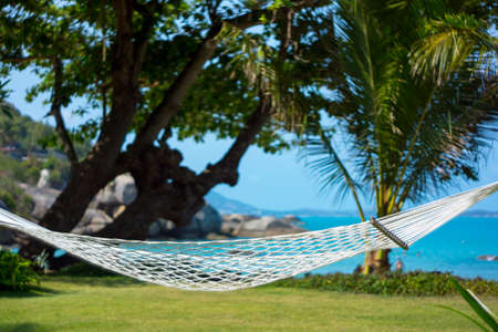Hammock between palm trees on tropical resortの写真素材