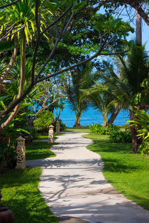 Tropical resort path to the seaの写真素材