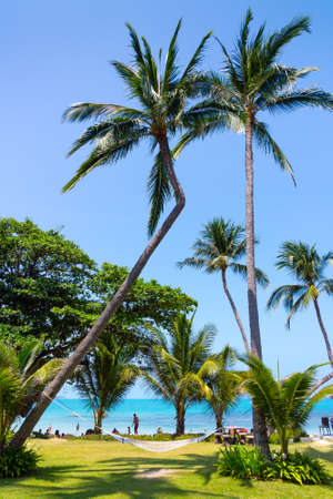 Resort panorama in Samui Island, Thailandの写真素材