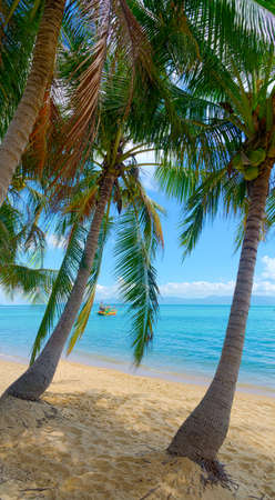 Untouched tropical beach in Thailandの写真素材