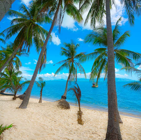 Tropical beach in Samui, Thailandの写真素材