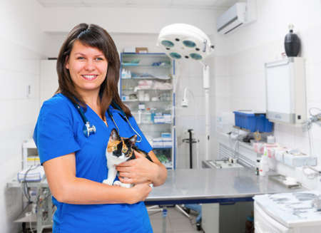 Young smiling woman vet portrait with cat in the clinicの写真素材