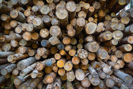 Firewood in the stack