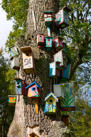 Many different birdhouses on a tree