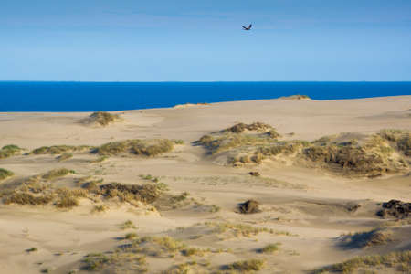 Dunes on the Curonian Spitの写真素材