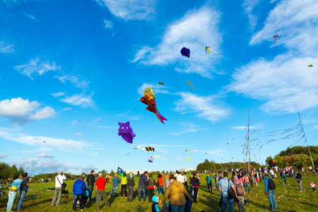 MOSCOW - AUGUST 30, 2015: People launch kites in Tsaritsyno Park on August 30, 2015 in Moscow Big kites in the skyのeditorial素材