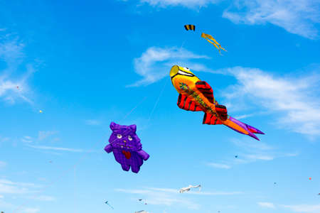 MOSCOW - AUGUST 30, 2015: Big kites in the sky in Tsaritsyno Park on August 30, 2015 in Moscow Big kites in the skyのeditorial素材