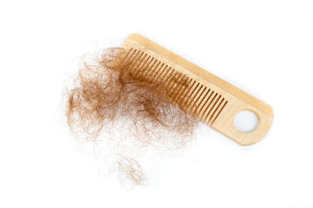 Bunch of hair on the comb. Hair loss conceptの写真素材