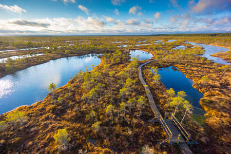 Kemeri swamp landscape in Latvia