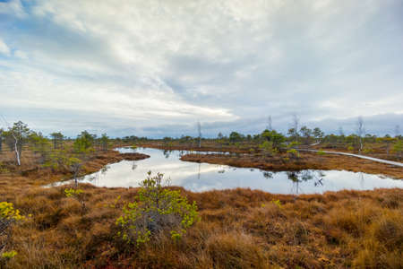 Kemeri swamp landscape in Latvia