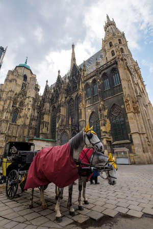 VIENNA - APRIL,24: Fiakres on St Stephens Square on April 24, 2016 in Viennaのeditorial素材