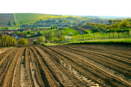 Rural landscape in countryside in South Moravia, Csezh Republic