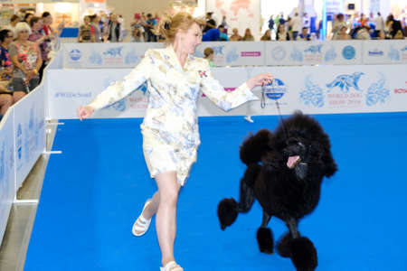 Moscow, Russia - June 25: Participants in the ring on the World Dog Show on June 25, 2016 in Crocus Expo Moscowのeditorial素材
