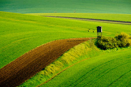Wavy meadows spring landscape in South Moravia, Czech Republicの写真素材