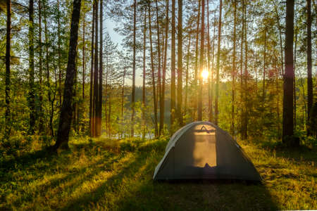 Tent in a pine forest on sunsetの写真素材