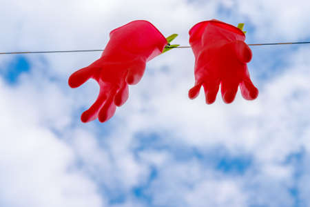 Red latex protect gloves hanging on the ropeの写真素材