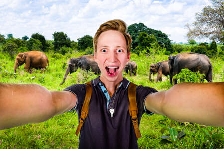 Young happy man taking selfie using front camera on the background of wild elephants during safariの写真素材