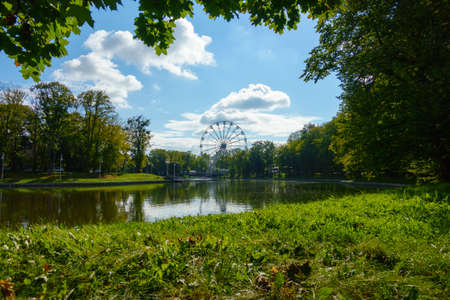 Summer in the park with pond and ferris wheelの写真素材