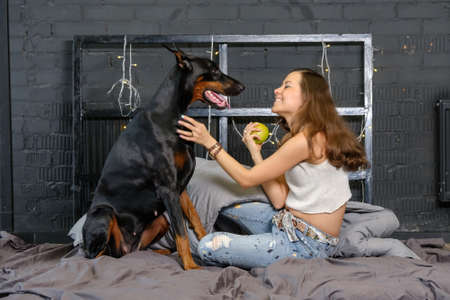 Young pretty woman with black doberman dog in the bedの写真素材
