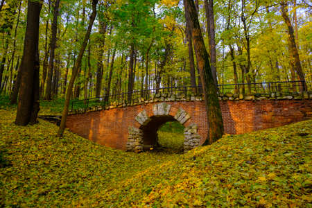 Park landscape at golden fallの写真素材