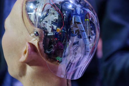 Moscow, Russia - October 16, 2017: Sophia humanoid robot at Open Innovations Conference at Skolokovo technopark. Rear view of the brainのeditorial素材