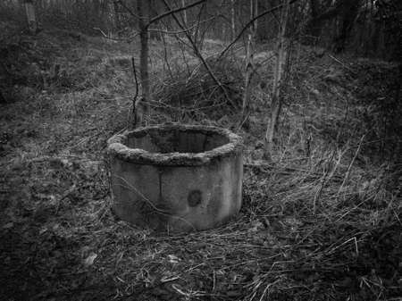 Abandoned well in the forestの写真素材