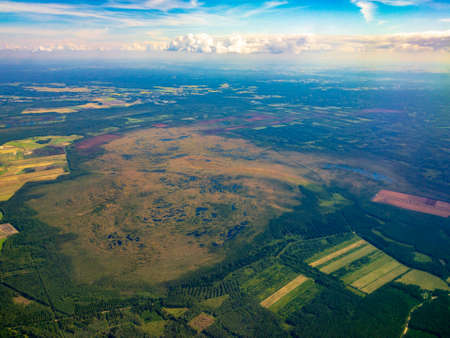 Top aerial view of a big swamp in Latvia