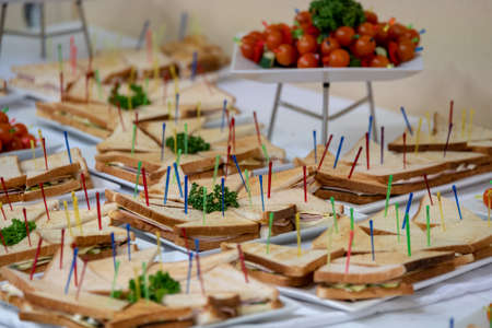 Catering service at business conference, canape and sandwiches