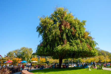 Mountain View, USA - September 25, 2018: Employees walking outdoors at Googleplex headquarters main officeのeditorial素材