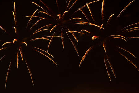 Colorful fireworks in night sky backgroundの写真素材