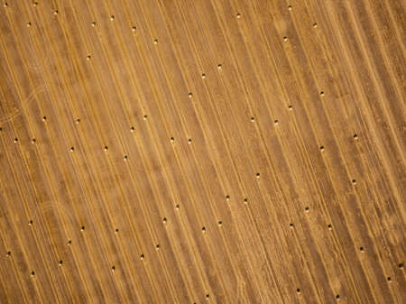 Round dried haystacks in the field, summer aerial agricultural landscapeの写真素材