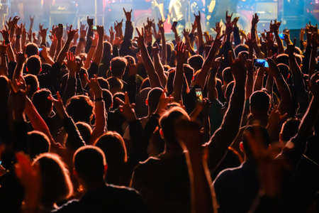 Fans at live rock music concert cheering musicians on stage, back viewの写真素材