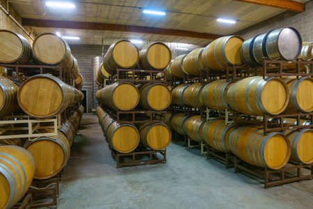 Interior of contemporary illuminated winery cellar with rows of stacked wooden barrels