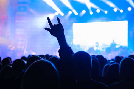 Fans at live rock music concert cheering musicians on stage, back viewの写真素材