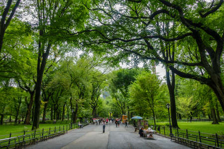New York, USA - September 6, 2018: People visit central park in Manhattan at day time at summerのeditorial素材