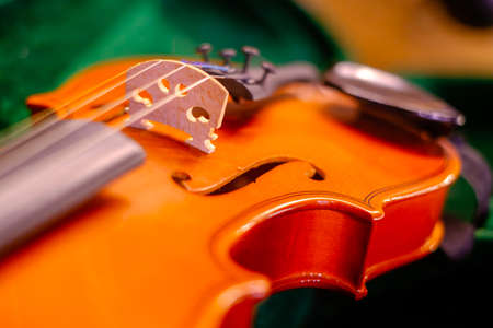 Soft focus of classic violin placed on open container before concert rehearsal