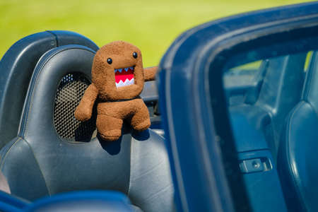 Funny toy on car seat