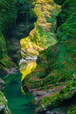 Green ravine with calm streamの写真素材