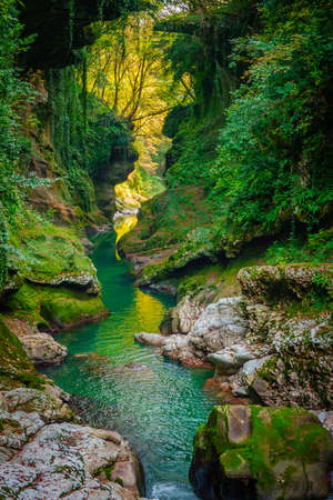 Green ravine with calm streamの写真素材
