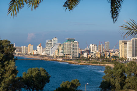 Scenic cityscape with modern buildings at seasideの写真素材
