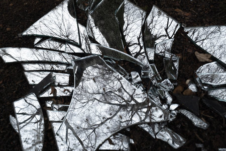 Top view of pile of broken uneven sharp edges of mirror glasses with reflection of fall trees...