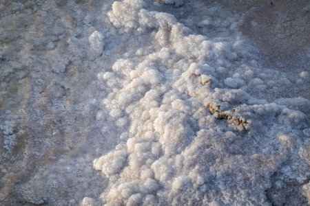 Detailed view of natural salt crystals accumulating on the shore, glistening under early morning...