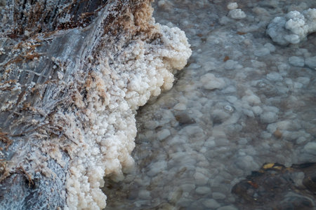 Close-up image showcasing intricate salt formations along the edge of a lake, highlighting natures...