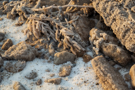 Detailed view of natural salt formations on rocks, highlighting their texture and structure in a...