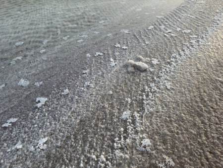 Close-up view of textured saline surface with water and salt crystals. The image captures natural...