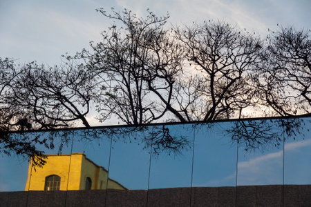 Sunset sky reflects leafless trees and yellow building on glass facade creating abstract sceneの写真素材